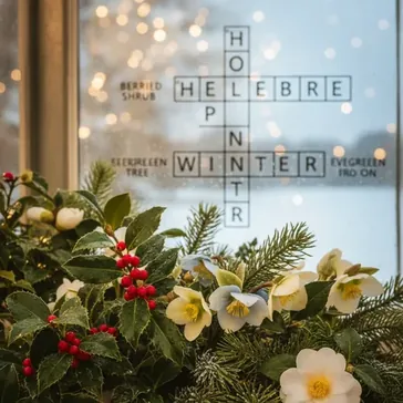 Zielony Zim Krzywka: Kompleksowy Przewodnik po Rolinach i Rozwizaniach